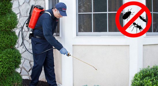 Çorlu Kene İlaçlama böcek ilaçlama ve haşere kontrolü — ilaclama-tr.com